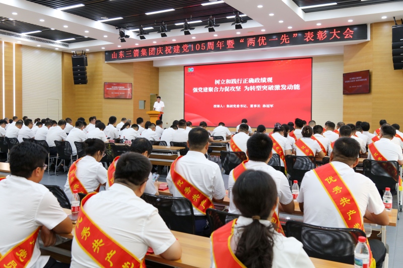 800-集团公司召开优秀共产党员、优秀党务工作者和先进基层党组织表彰大会-7(1)