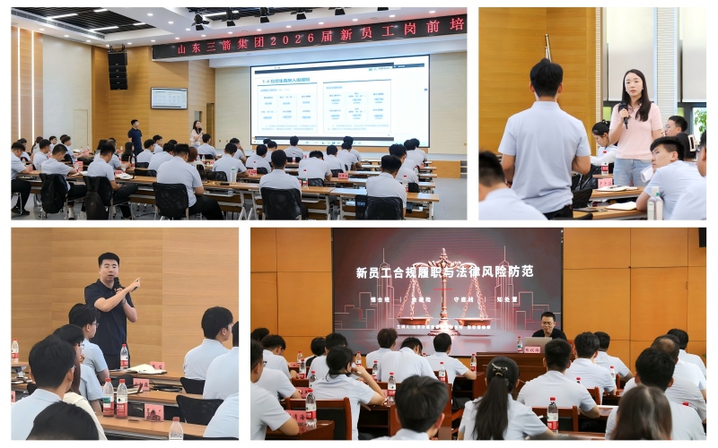 800-薪酬法规2光影魔术手拼图(1)